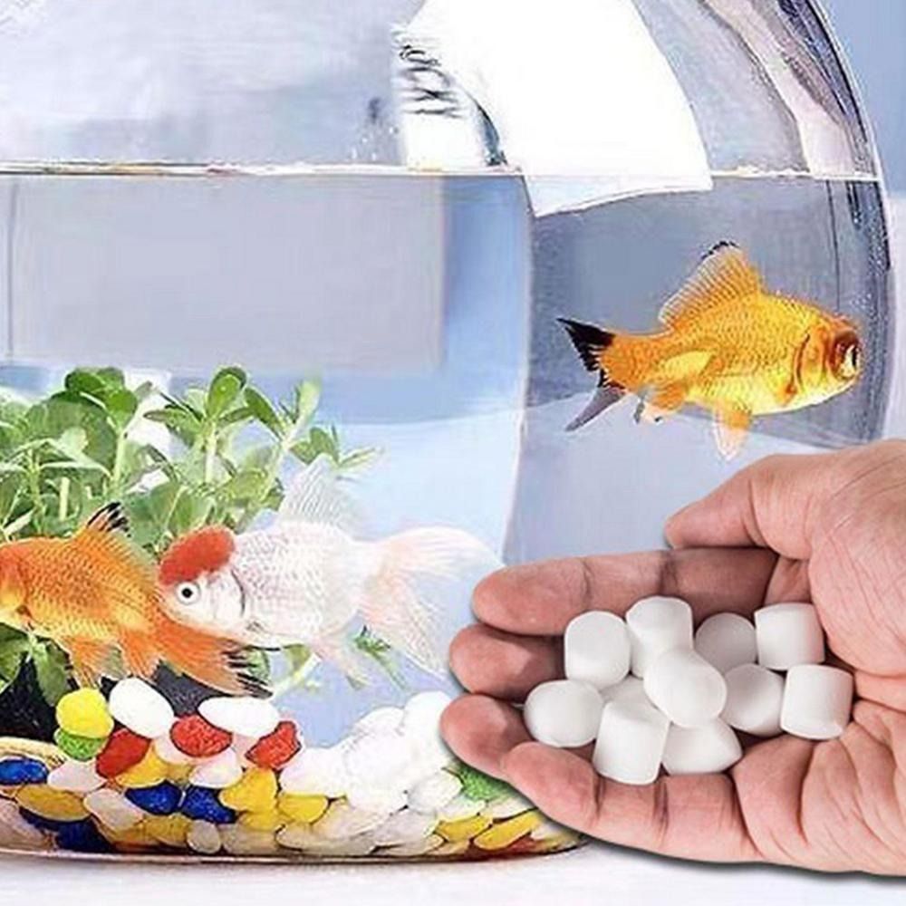 強力な水族館用酸素タブレット、臭気除去剤、水質浄化タブレット - Water Purification Tablet のレビューと価格
