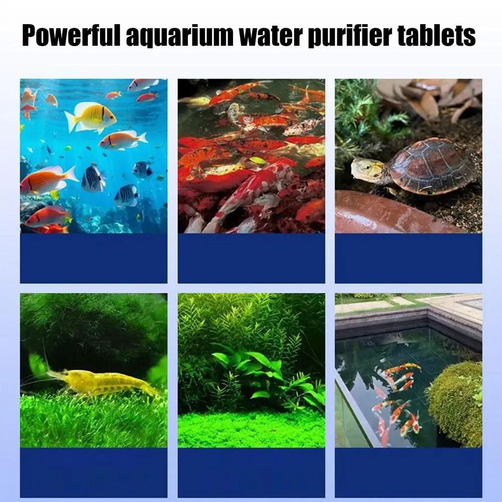 強力な浄水タブレット 臭い除去剤 クリーニング洗浄藻類タブレ - Water Purification Tablet のレビューと価格